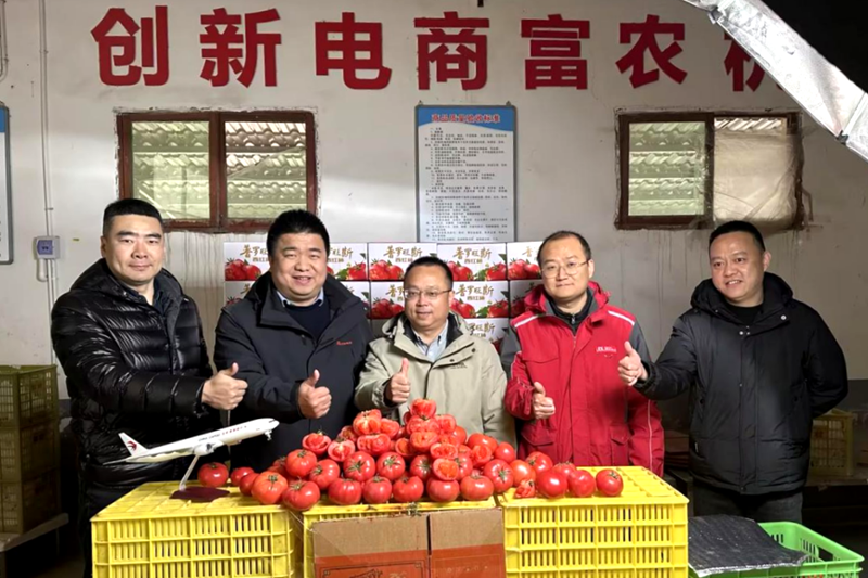 合百集团：肥西农产品物流园一期已于2024年9月开业，积极推进物流枢纽建设